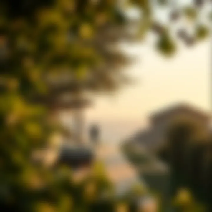 Understanding the Financial Landscape of Property Management A detailed breakdown of property management costs