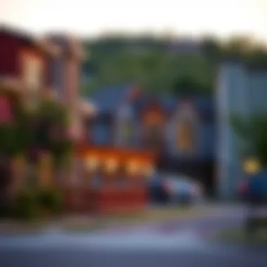 Vibrant community atmosphere surrounding Cherry Creek duplexes