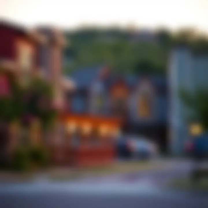 Vibrant community atmosphere surrounding Cherry Creek duplexes