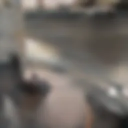 Scenic view of Foster City waterfront