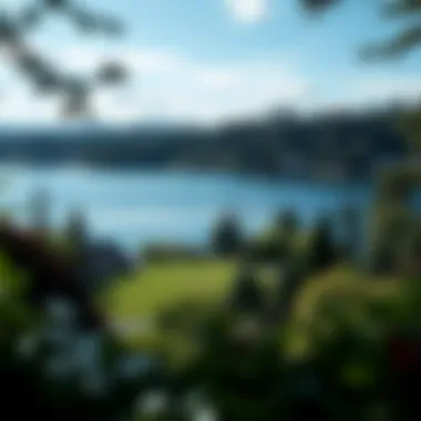 Lush Green Lake Park View Lush Green Lake park view from a rental property