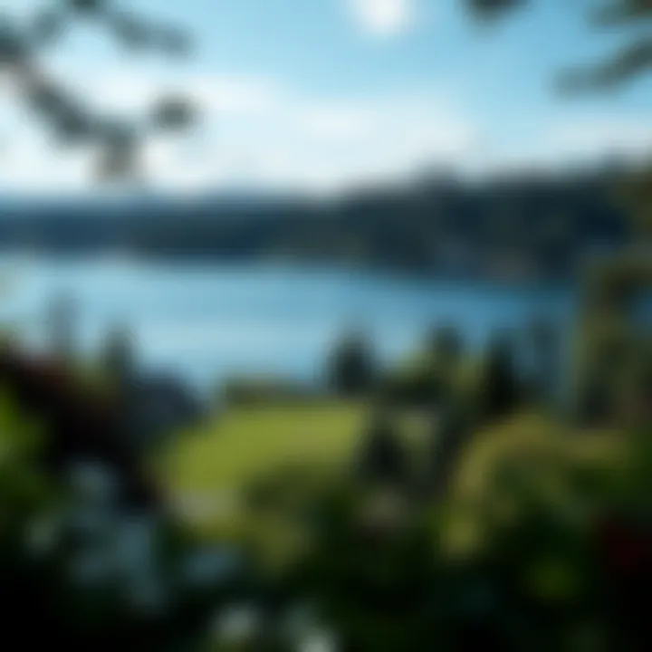 Lush Green Lake Park View Lush Green Lake park view from a rental property