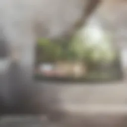 Elegant exterior of a contemporary home in Friendship Heights