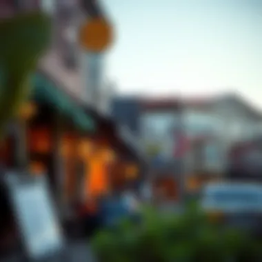 Vibrancy of Local Cafes and Shops Bustling cafes and local shops in a lively neighborhood