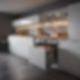 Contemporary kitchen efficiency unit showcasing innovative storage