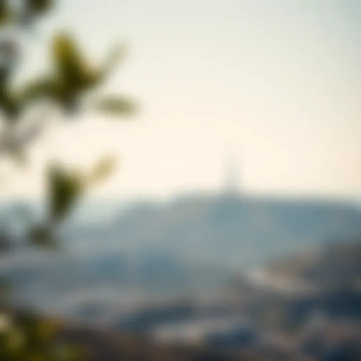 Hollywood Sign and Cityscape Iconic Hollywood sign overlooking the cityscape