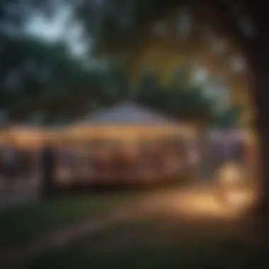 Cultural Significance: Celebrating Community in Austin Community gathering at a local park highlighting cultural events