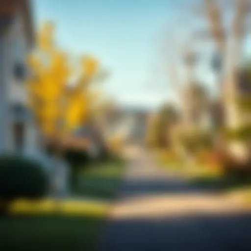 Charming Suburban Landscape Scenic view of a suburban neighborhood near Washington D.C.