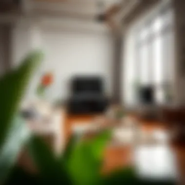 Cozy living room in a modern Petworth apartment