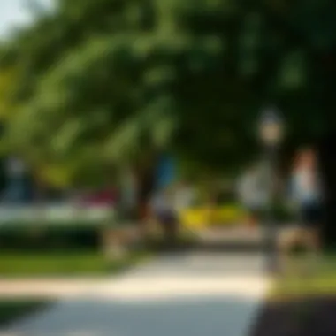 Vibrant local park in the Petworth neighborhood