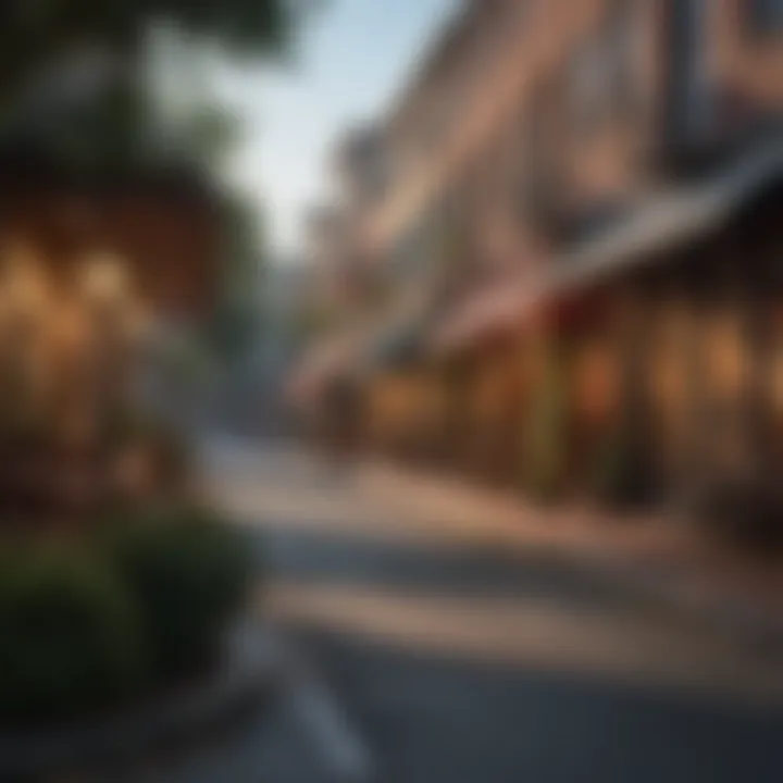 A picturesque downtown area with shops and cafes