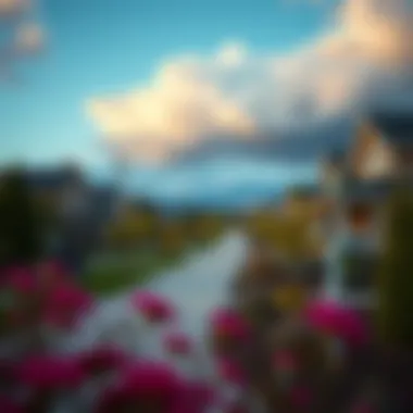 Charming suburban neighborhood with well-kept gardens