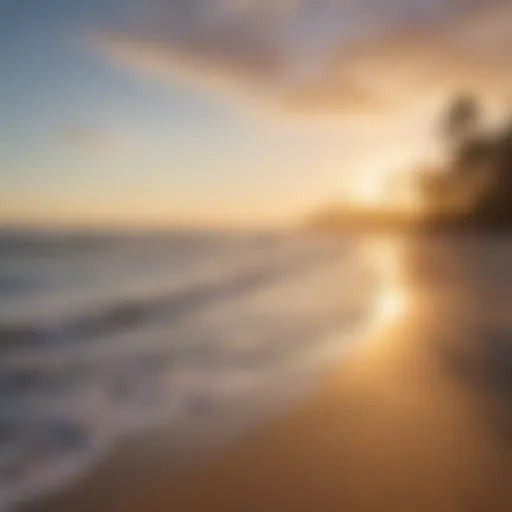 A serene beach view in Pacific Beach showcasing golden sands and gentle waves