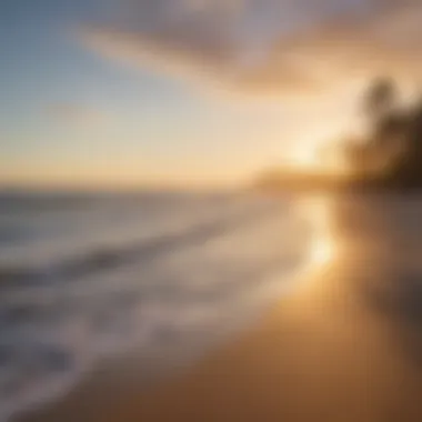 Serene Beach View of Pacific Beach A serene beach view in Pacific Beach showcasing golden sands and gentle waves