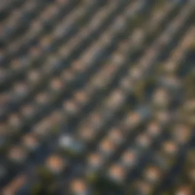 Aerial view of suburban neighborhoods in Miami showcasing diverse architectural styles.