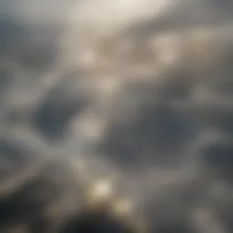 Aerial view of Central Park surrounded by skyscrapers
