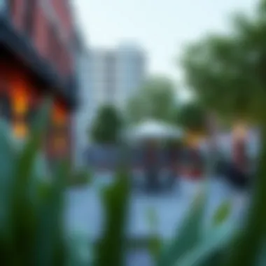 Community Spaces in Atlanta's Neighborhoods Community gathering spaces in Atlanta's neighborhoods promoting social interaction and engagement