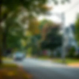 Charming suburban street lined with trees