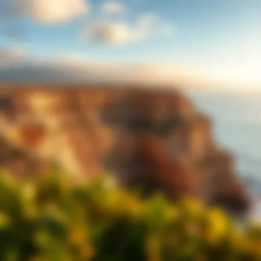 Breathtaking Cliffs of Torrey Pines A stunning view of Torrey Pines cliffs overlooking the Pacific Ocean