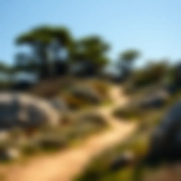 A scenic walking trail through the Torrey Pines State Natural Reserve