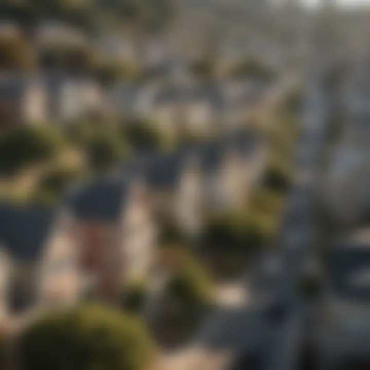 Scenic view of a San Francisco neighborhood with villas