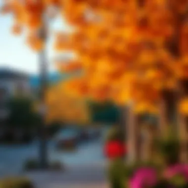 Vibrant neighborhood atmosphere in West Highland