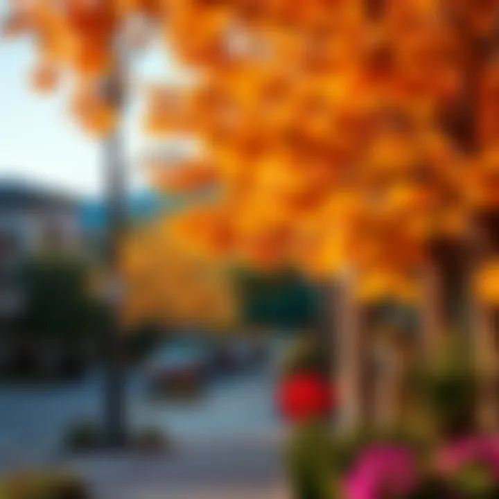 Vibrant neighborhood atmosphere in West Highland