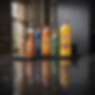 Various cleaning products arranged for maintaining a glass stove