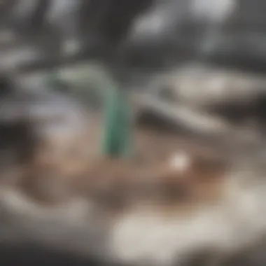Spot cleaning a small rug with a cloth