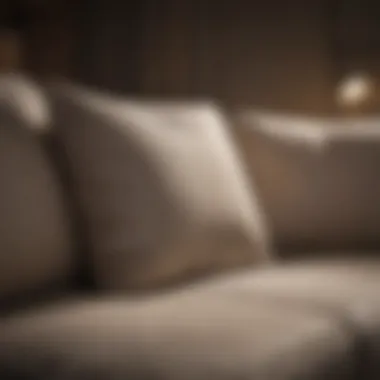 Revitalized Couch Cushions Fresh and clean couch cushions after deep cleaning