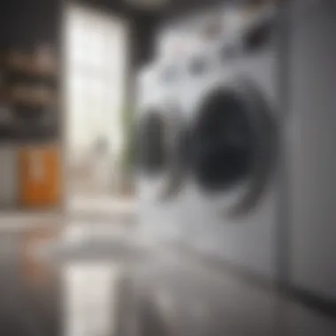 Essential cleaning agents for washing machine descaling
