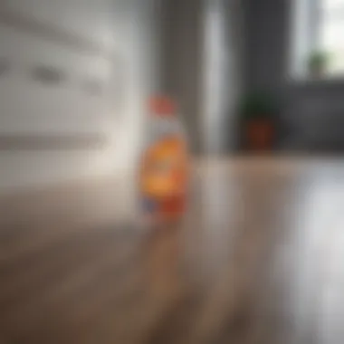 Essential Cleaning Supplies for Laminate Floors Cleaning supplies arranged neatly on a laminate surface