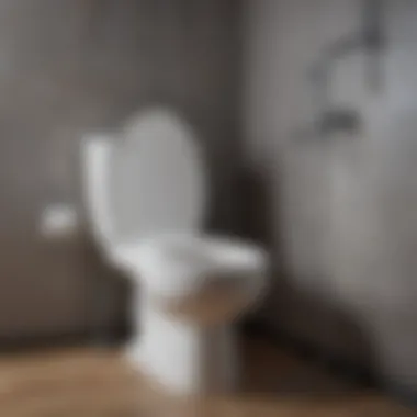 Understanding the Dynamics of Toilet Plumbing Understanding toilet plumbing dynamics