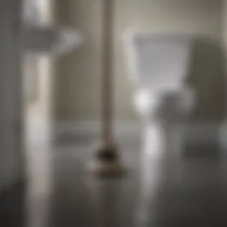 A plunger positioned ready to clear a toilet blockage
