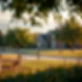 Scenic view of a Dallas neighborhood park