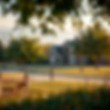 Scenic view of a Dallas neighborhood park