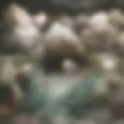 A serene landscape symbolizing tranquility and self-reflection