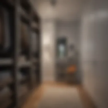 Aesthetic design principles incorporated in a narrow closet for visual appeal
