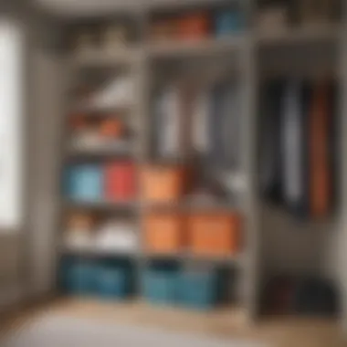 Color-coded and categorized storage bins enhancing functionality in a narrow closet