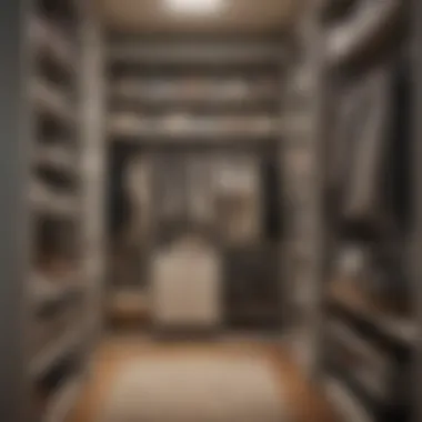 An elegantly organized narrow closet showcasing stylish storage solutions
