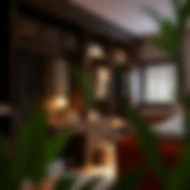 Innovative furniture solutions for maximizing closet space