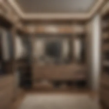 Chic Design with Innovative Storage Solutions Stylish closet design featuring innovative storage solutions