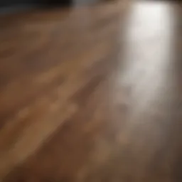 Close-up of vibrant laminate flooring