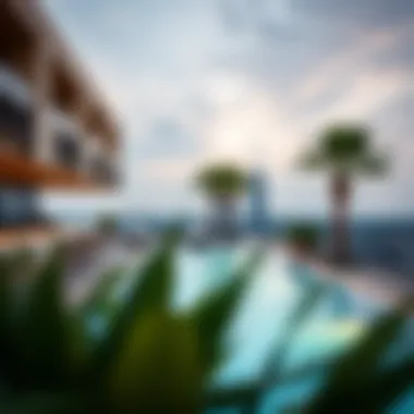 Luxurious apartment amenities like a rooftop pool and lounge