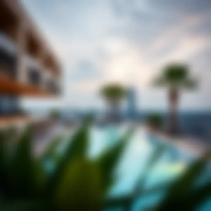 Luxurious apartment amenities like a rooftop pool and lounge