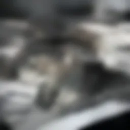 Overview of tenant rights in NYC