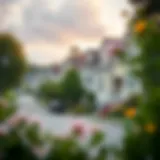 Exploring Off-Market Neighborhoods A serene neighborhood showcasing off-market properties