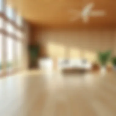 A pristine laminate wood floor gleaming after cleaning