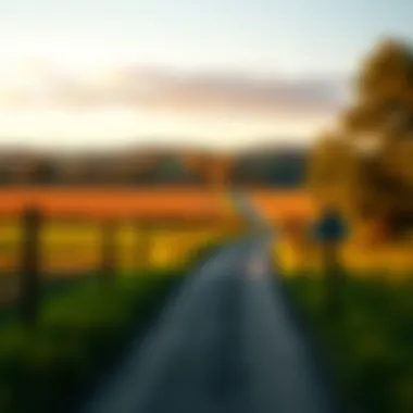 Serene rural landscape depicting potential for investment in agricultural land