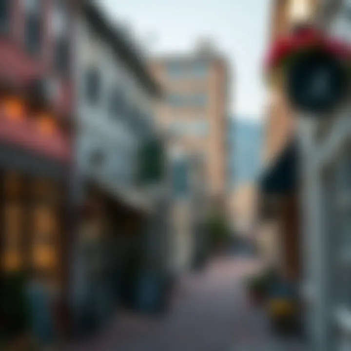Charming Local Shops and Cafes Charming street lined with local shops and cafes